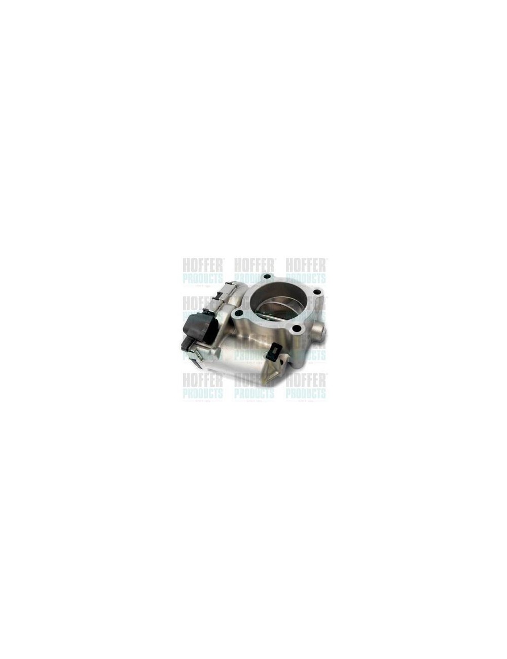 Boà®tier papillon, injection Boà®tier papillon, injection