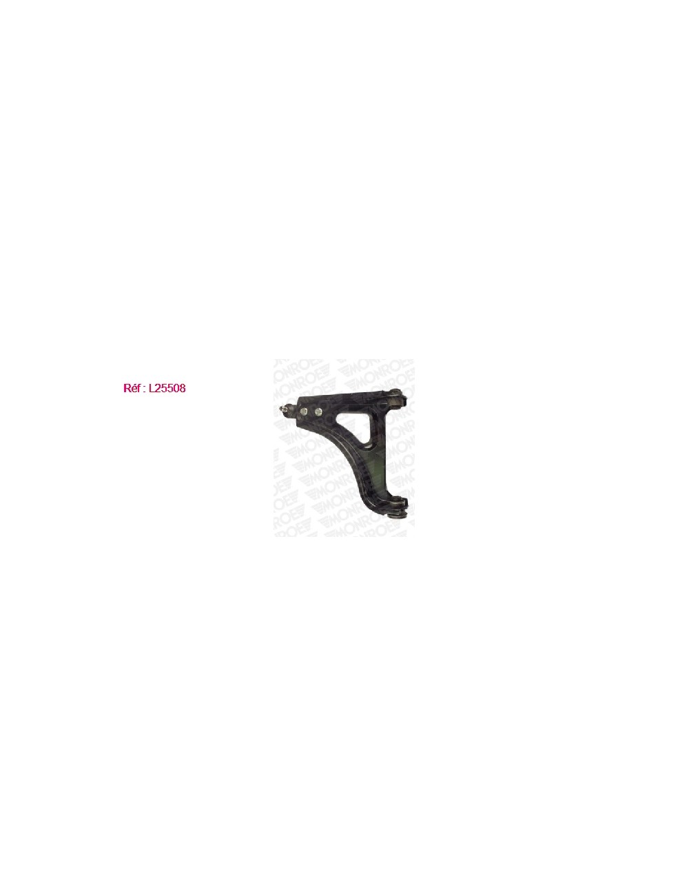 BRAS DE SUSPENSION AVG RENAULT TWIN BRAS DE SUSPENSION AVG RENAULT TWIN