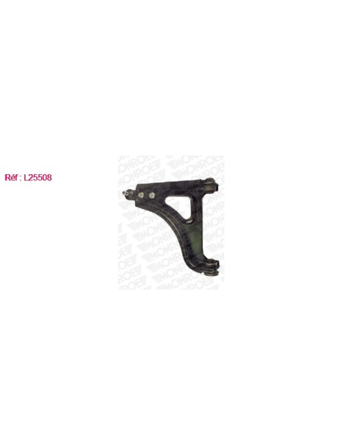 BRAS DE SUSPENSION AVG RENAULT TWIN