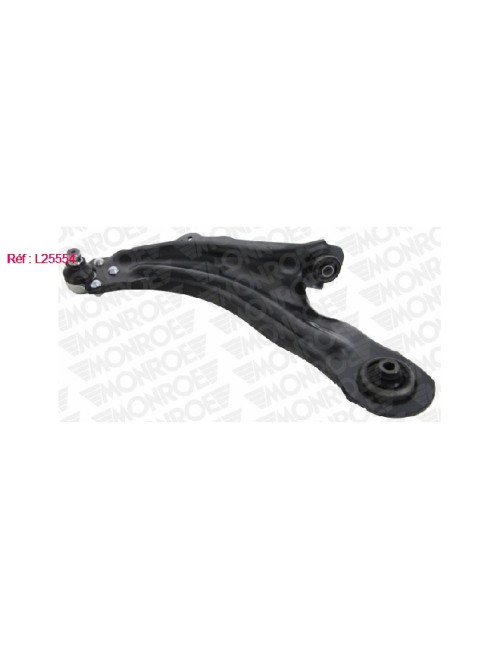 BRAS DE SUSPENSION AVG RENAULT KANG