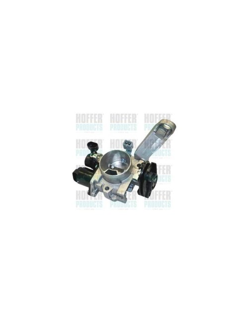 Boà®tier papillon, injection