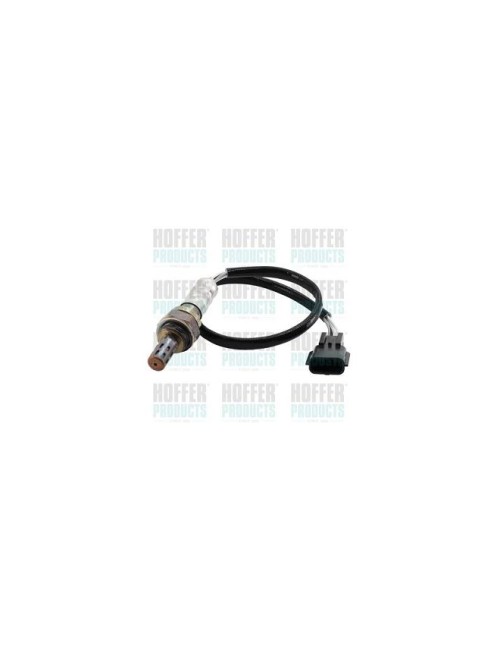 Sonde lambda au Zirconium