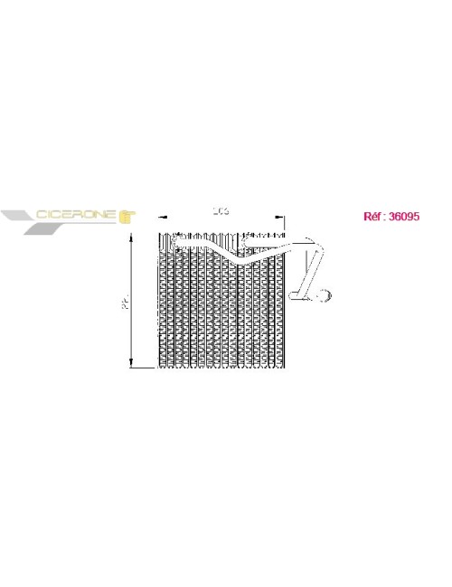 EVAP - CITROEN BERLINGO 1.9D 97 EVA