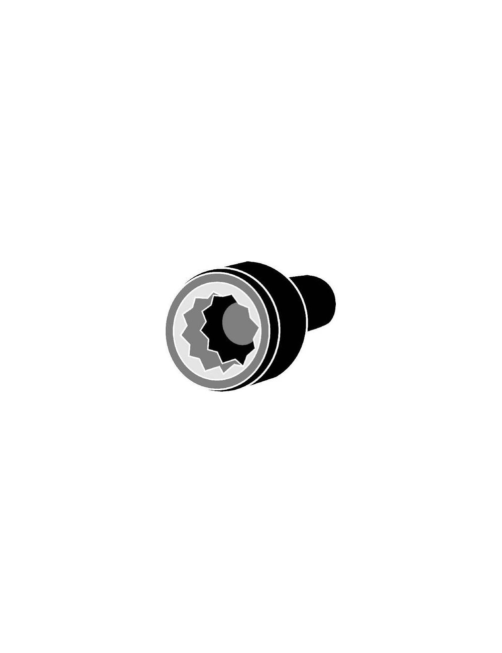 KIT Vis de culasse VAG 1.9 TDI 8V B