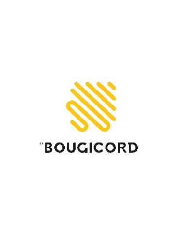 CAPTEUR VILEBREQUIN