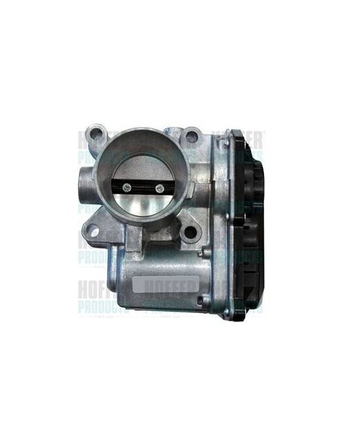 Boà®tier papillon, injection