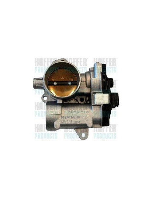 Boà®tier papillon, injection