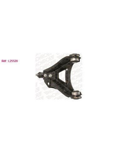 BRAS DE SUSPENSION AVG RENAULT CLIO