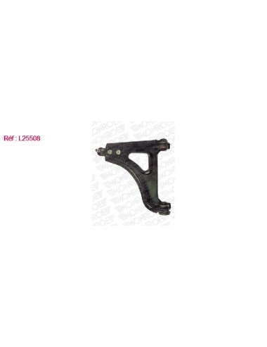 BRAS DE SUSPENSION AVG RENAULT TWIN