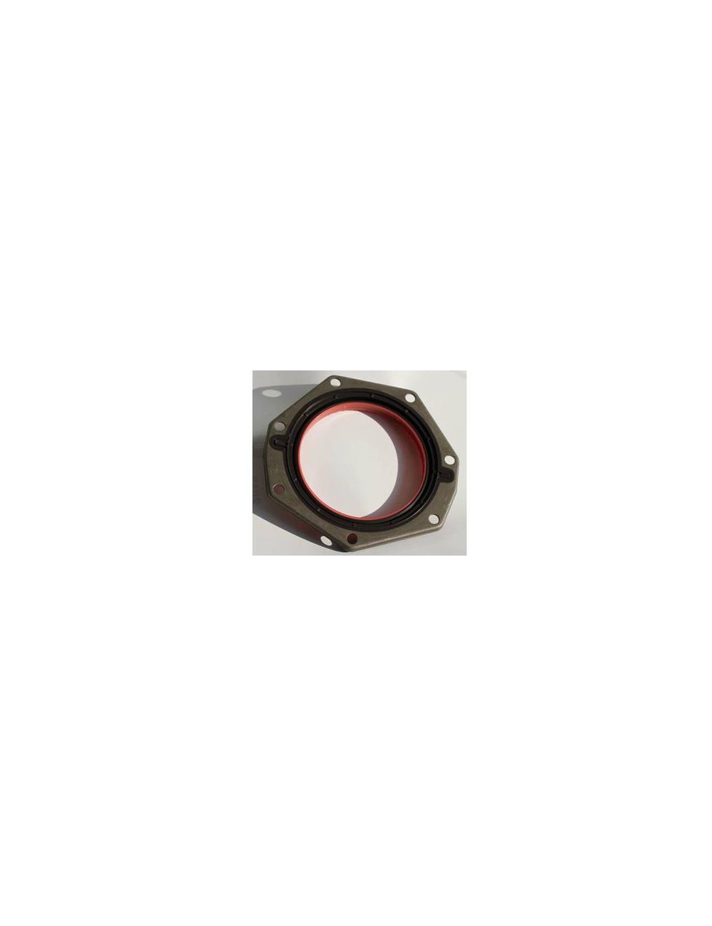 CS 114,0 X X mm 171,00 75 FKM 585 |