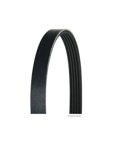 Courroie trapézoà¯dale à  nervures