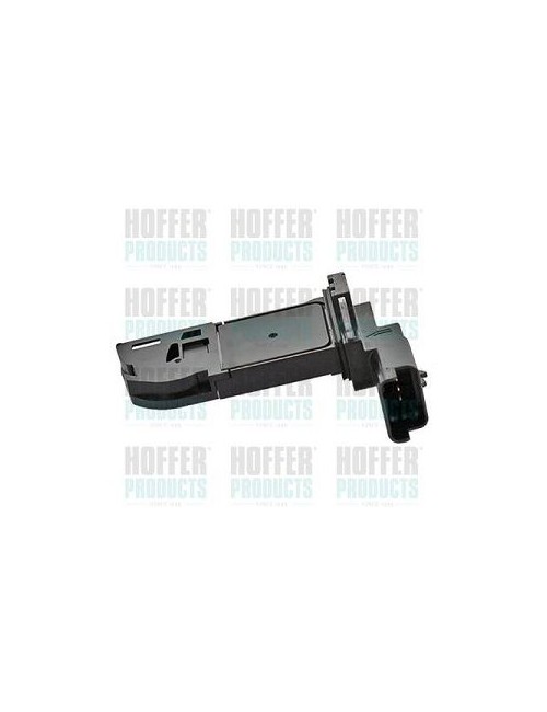 Capteur pour débitmètre massique