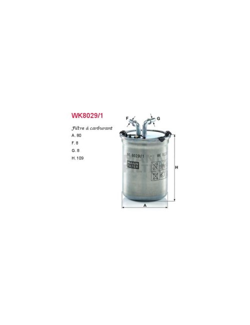 FILTRE A CARBURANT